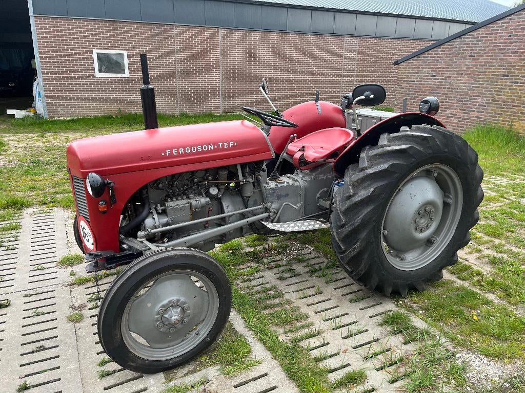 Massey Ferguson P3  TEF, Zakelijke goederen, Agrarisch | Tractoren, Ophalen, Oldtimer, Tot 80 Pk, 5000 tot 7500