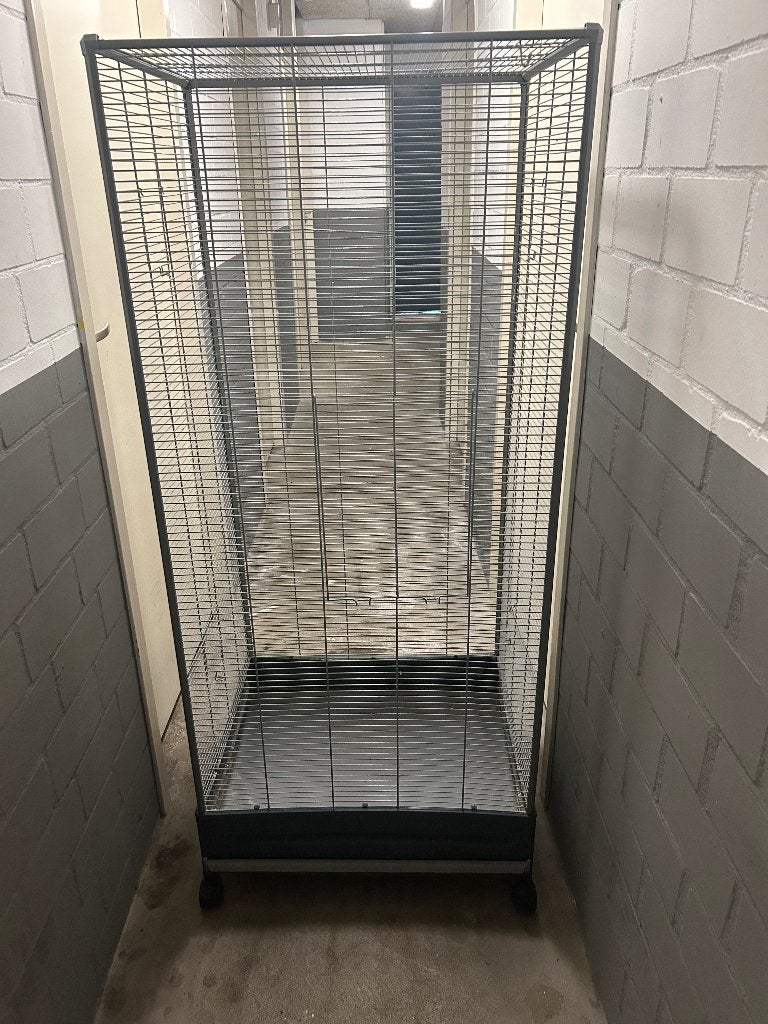 Grote vogel kooi, Ophalen, Gebruikt, Metaal, Vogelkooi