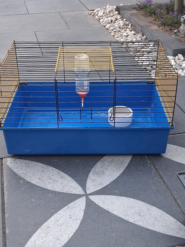 cavia kooi, Dieren en Toebehoren, Knaagdieren en Konijnen | Hokken en Kooien, Kooi, Gebruikt, 75 tot 110 cm, Cavia