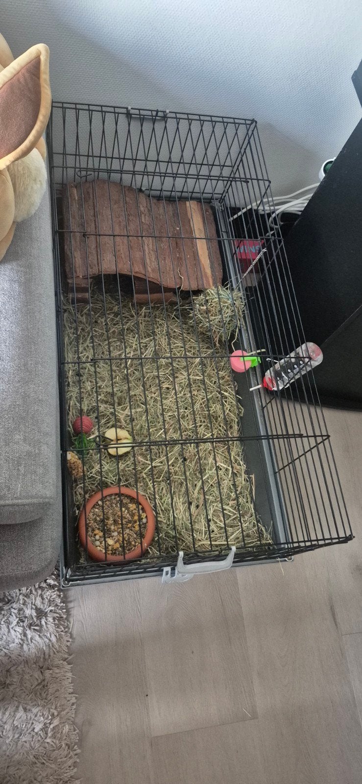 konijn lief, Ophalen, Zo goed als nieuw, Minder dan 75 cm, Minder dan 65 cm