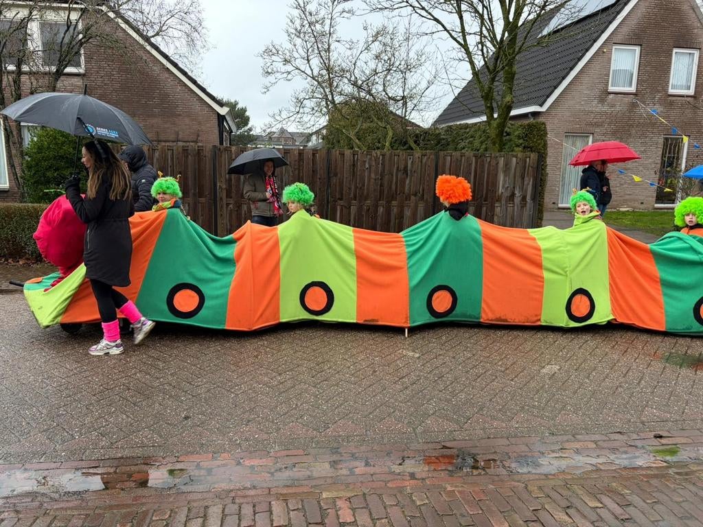 Carnaval rups, Kinderen en Baby's, Carnavalskleding en Verkleedspullen, Gebruikt, Jongen of Meisje, Ophalen