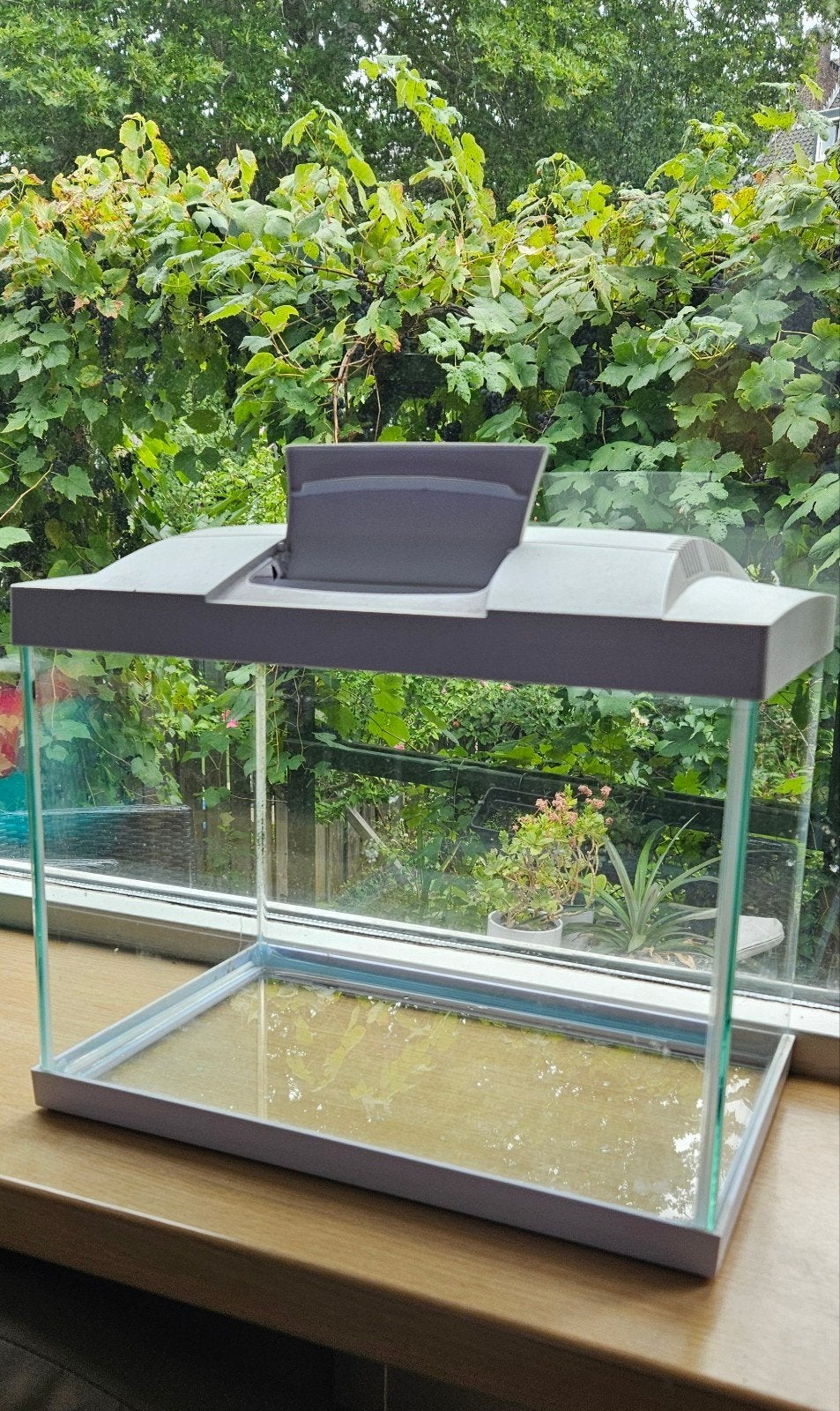fish tank/ aquarium, Dieren en Toebehoren, Ophalen, Inclusief toebehoren, Leeg aquarium