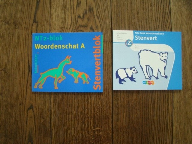 Stenvert NT2-blok woordenschat A en B werkboek / NIEUW, Boeken, Ophalen of Verzenden, Nieuw, Overige niveaus, Nederlands