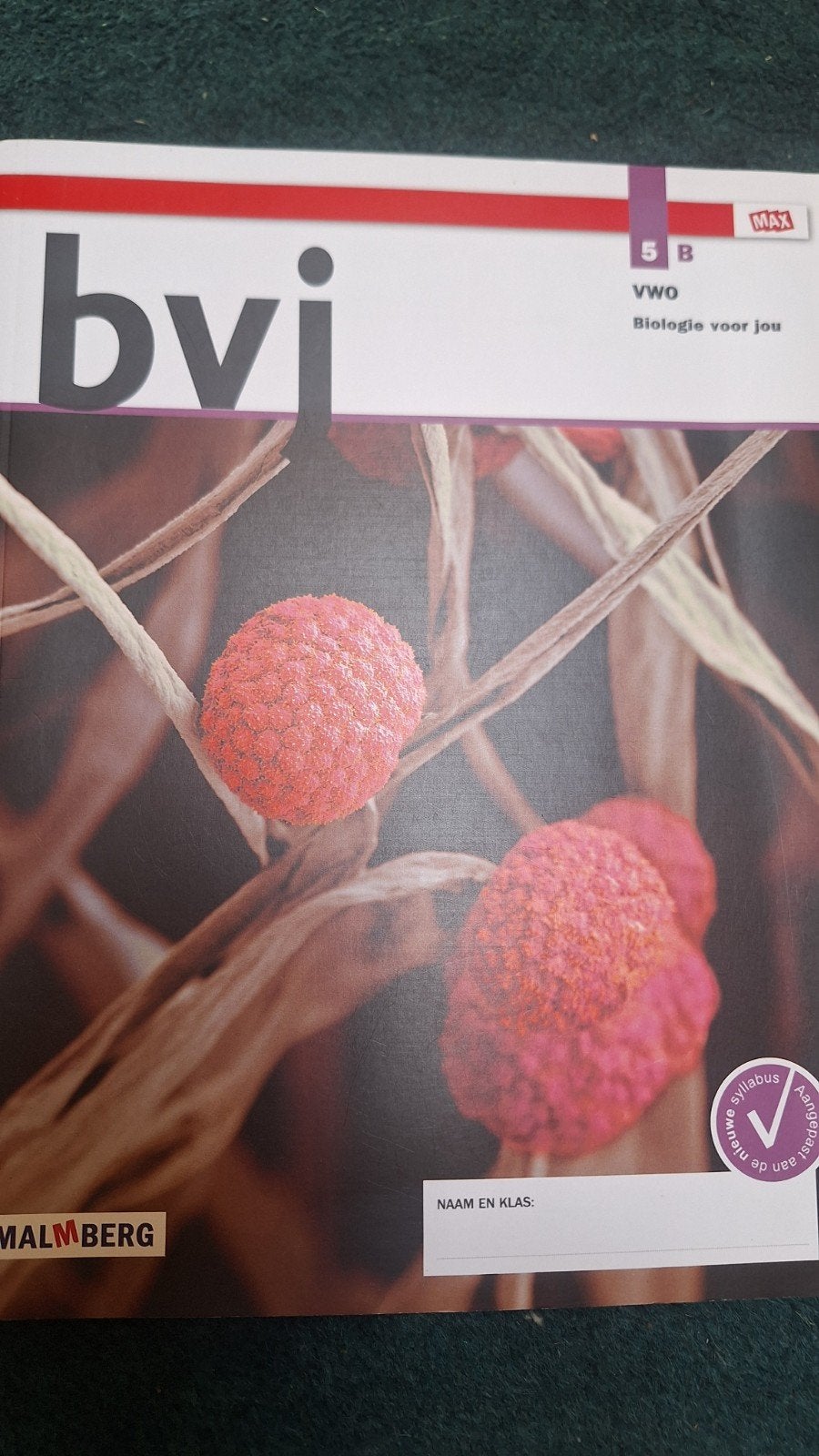 Bvj Biologie voor jou 5B VWO opdrachtenboek, Ophalen of Verzenden, Beta, Zo goed als nieuw, M. gommers e.a.