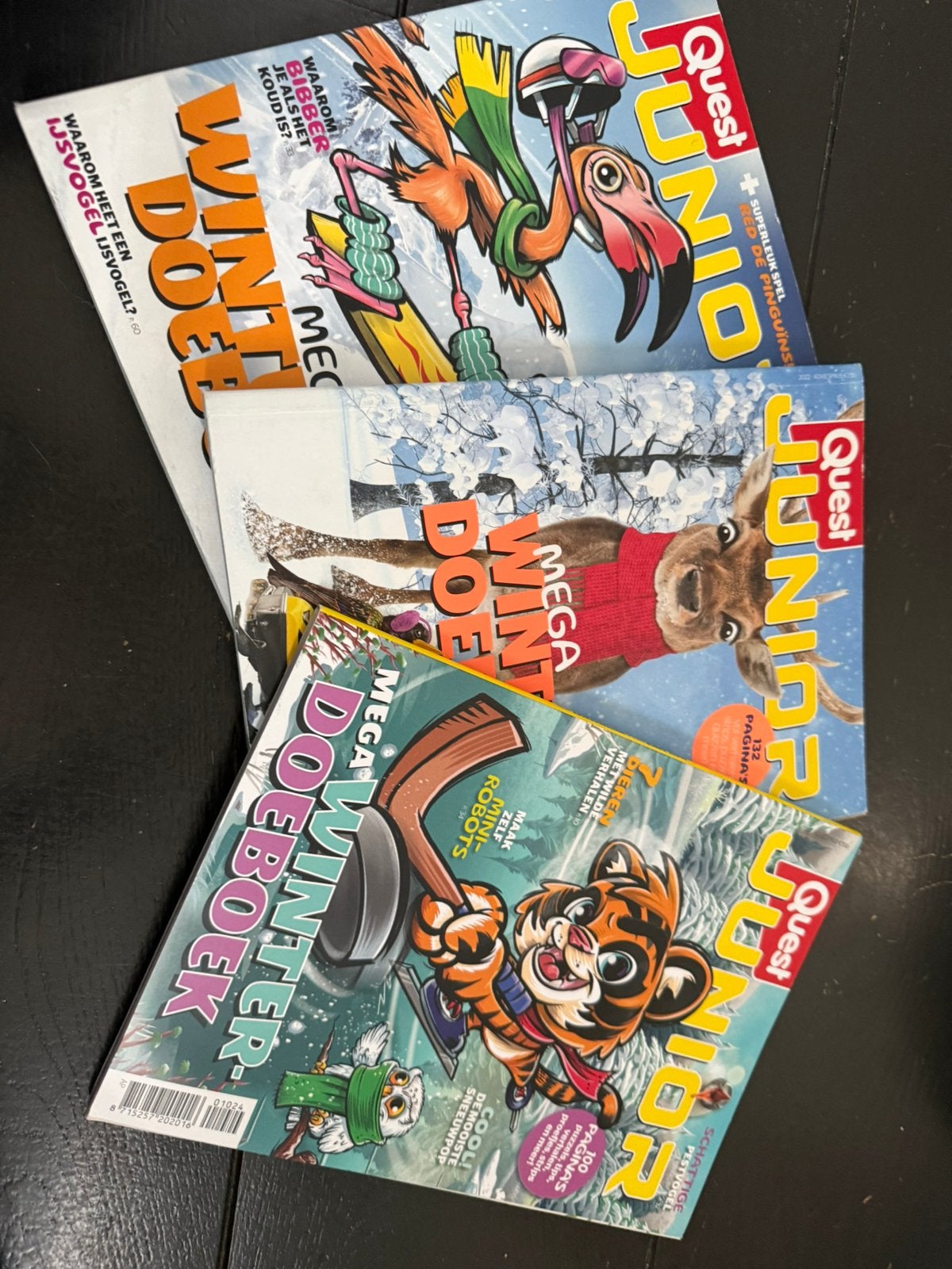 Winterboeken quest junior, Boeken, Tijdschriften en Kranten, Ophalen of Verzenden, Zo goed als nieuw, Wetenschap en Natuur