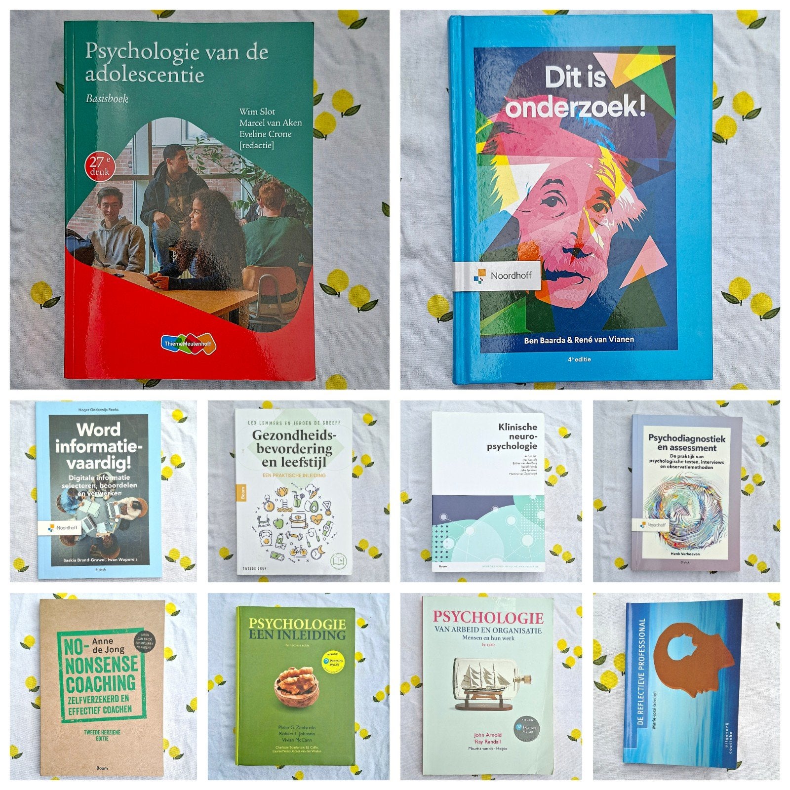 Toegepaste Psychologie 1e jaar Saxion Deventer studieboeken, Boeken, Ophalen of Verzenden, Gelezen, Klinische psychologie
