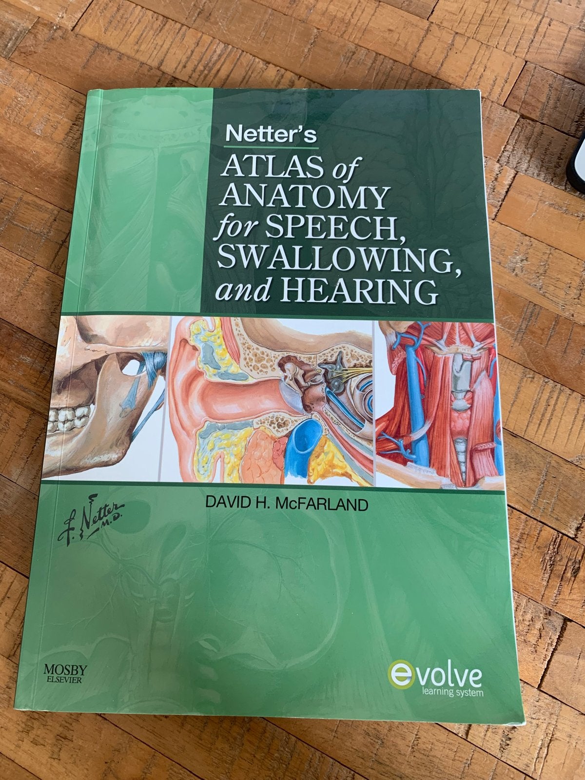 Netter's Atlas of Anatomy for Speech, Swallowing, Hearing, Ophalen of Verzenden, Beta, Gelezen, HBO