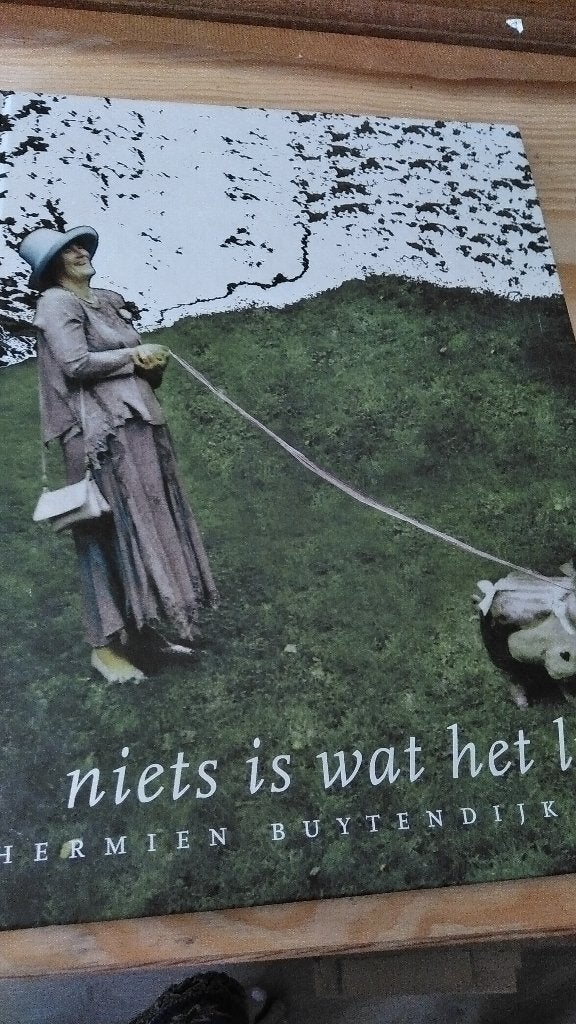 Niet is wat het lijkt van Hermien Buytendijk,, Verzenden, Gelezen, Beeldhouwkunst