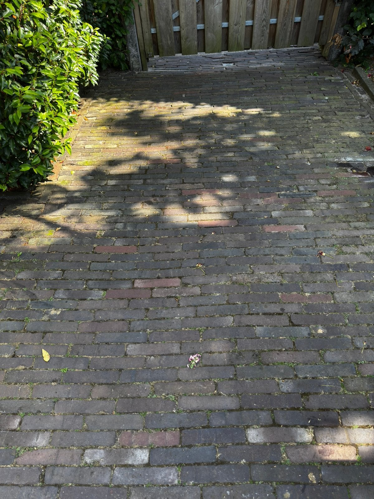 Gebakken waaltjes te koop, Ophalen, Zo goed als nieuw, Klinkers