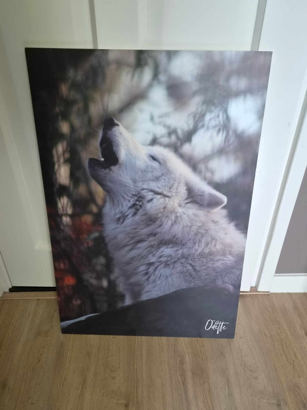 Originele foto afdruk van wolf, Ophalen of Verzenden, Minder dan 50 cm, Schilderij, Minder dan 50 cm