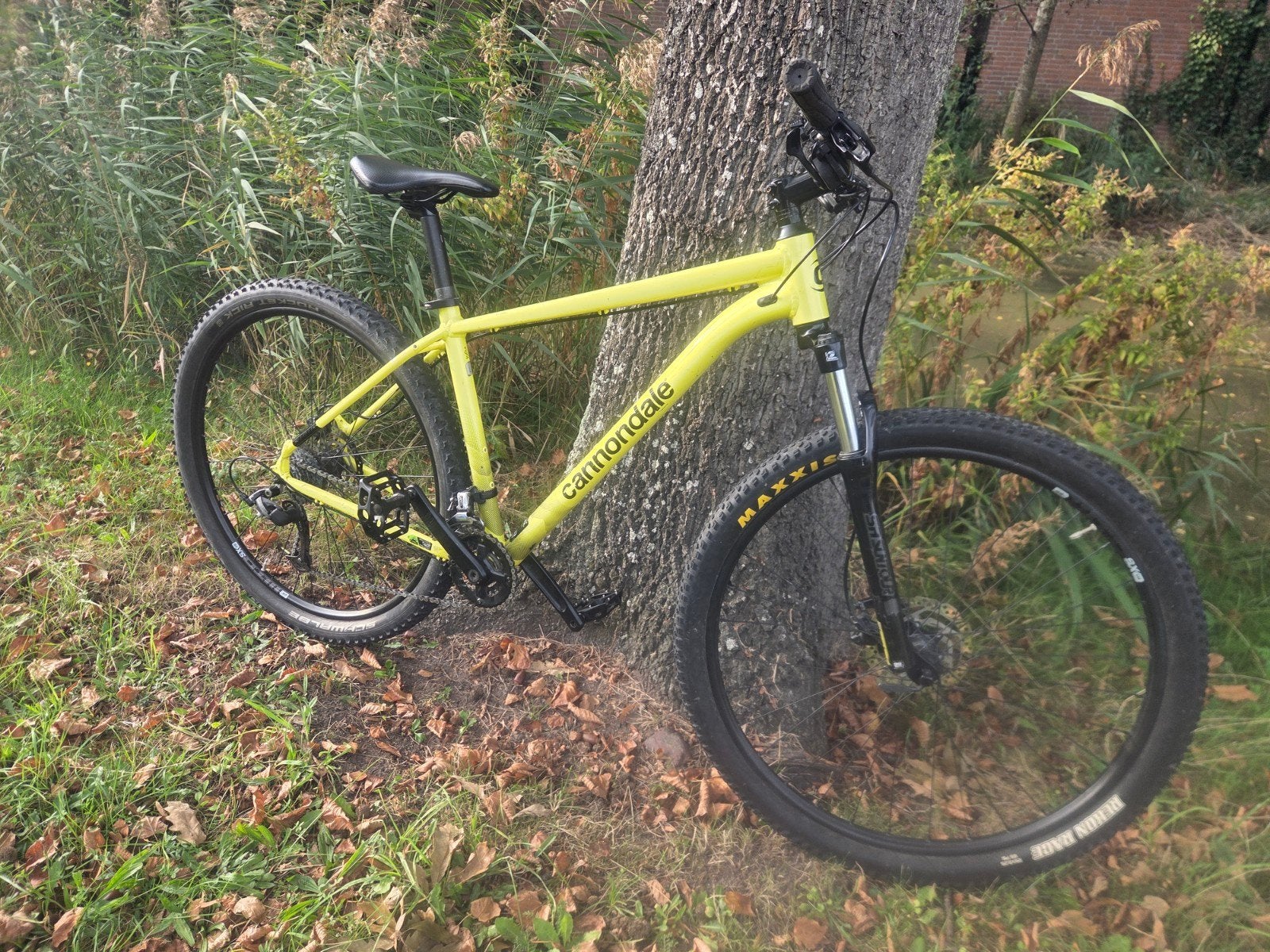 Cannondale Trail 8 Maat L 29 MTB, Ophalen of Verzenden, Gebruikt, Overige merken