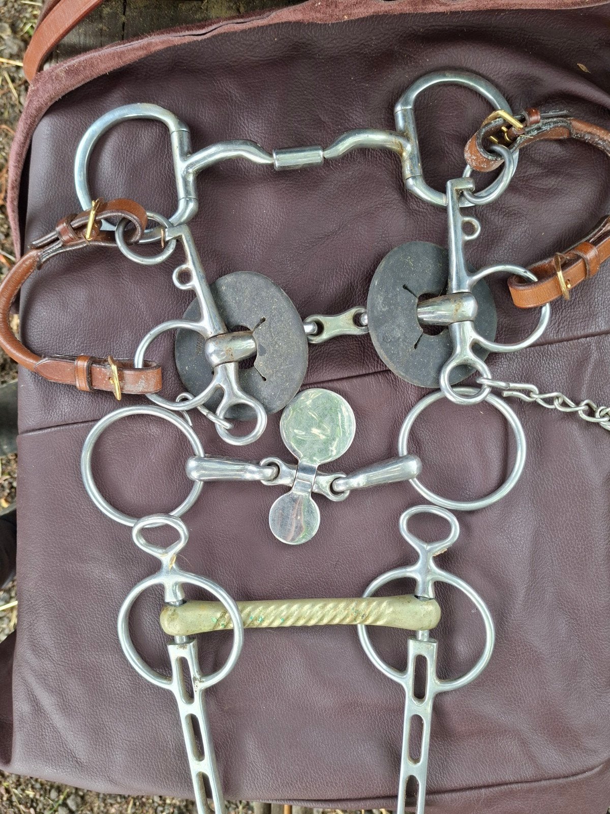 Diverse bitten te koop., Dieren en Toebehoren, Ophalen of Verzenden, Overige soorten
