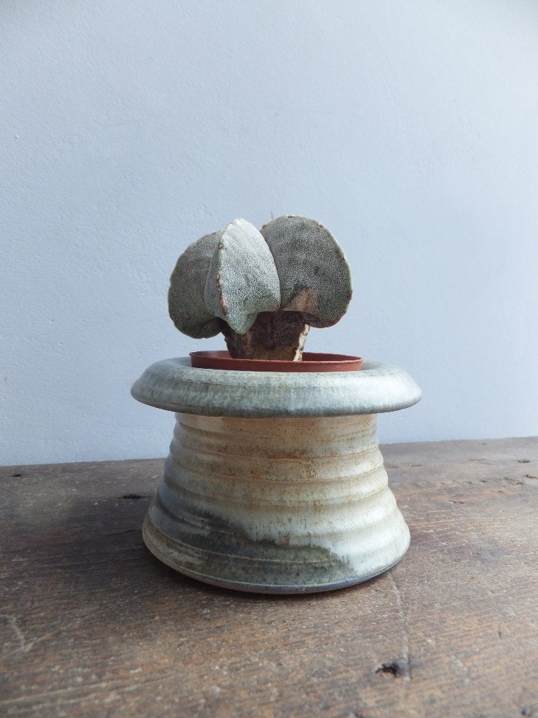 gratis verzenden natuurlijk aards vintage bloempot handwerk, Verzenden