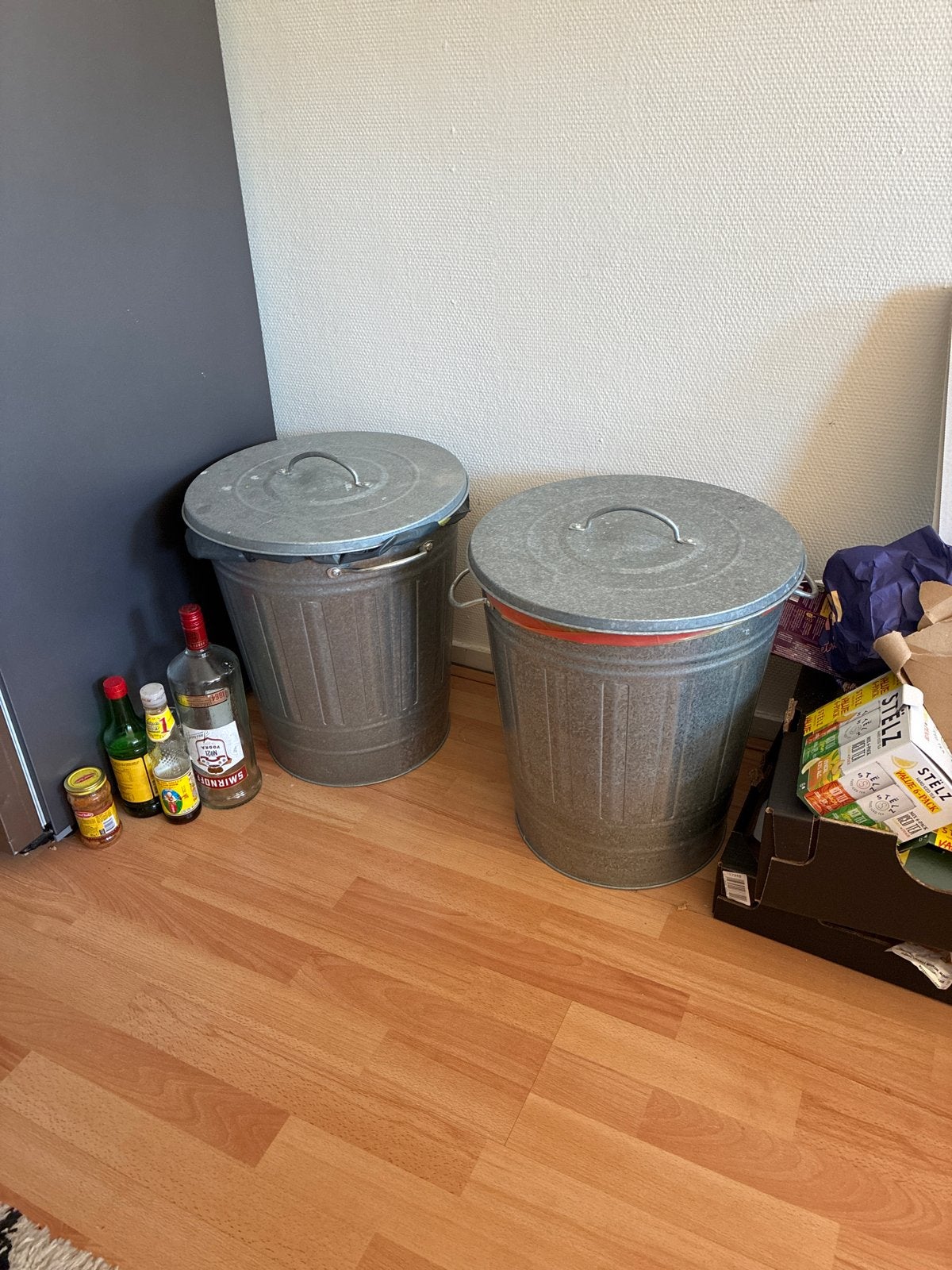Set van 2 metalen afvalbakken met deksel, Ophalen, 50 – 75, Gebruikt, 40 liter of meer