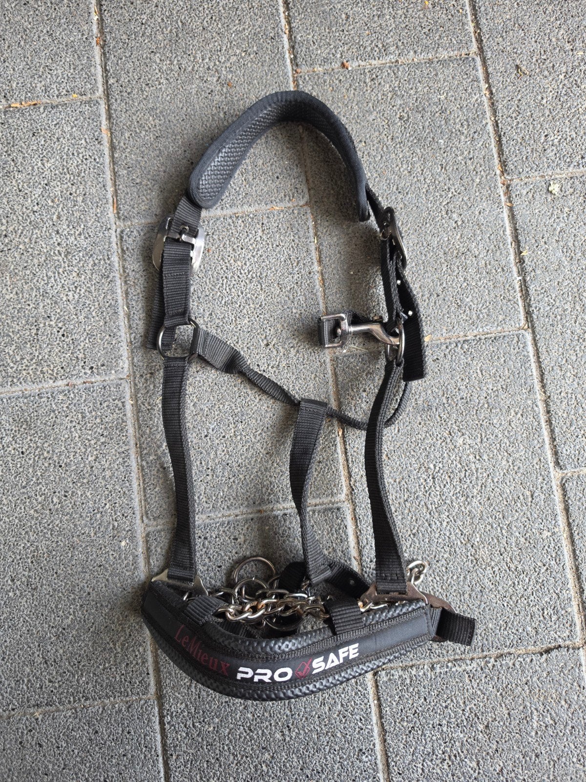 Lemieux prosafe kettinghalster extra full, Ophalen of Verzenden, LeMieux, Halster, Extra Full