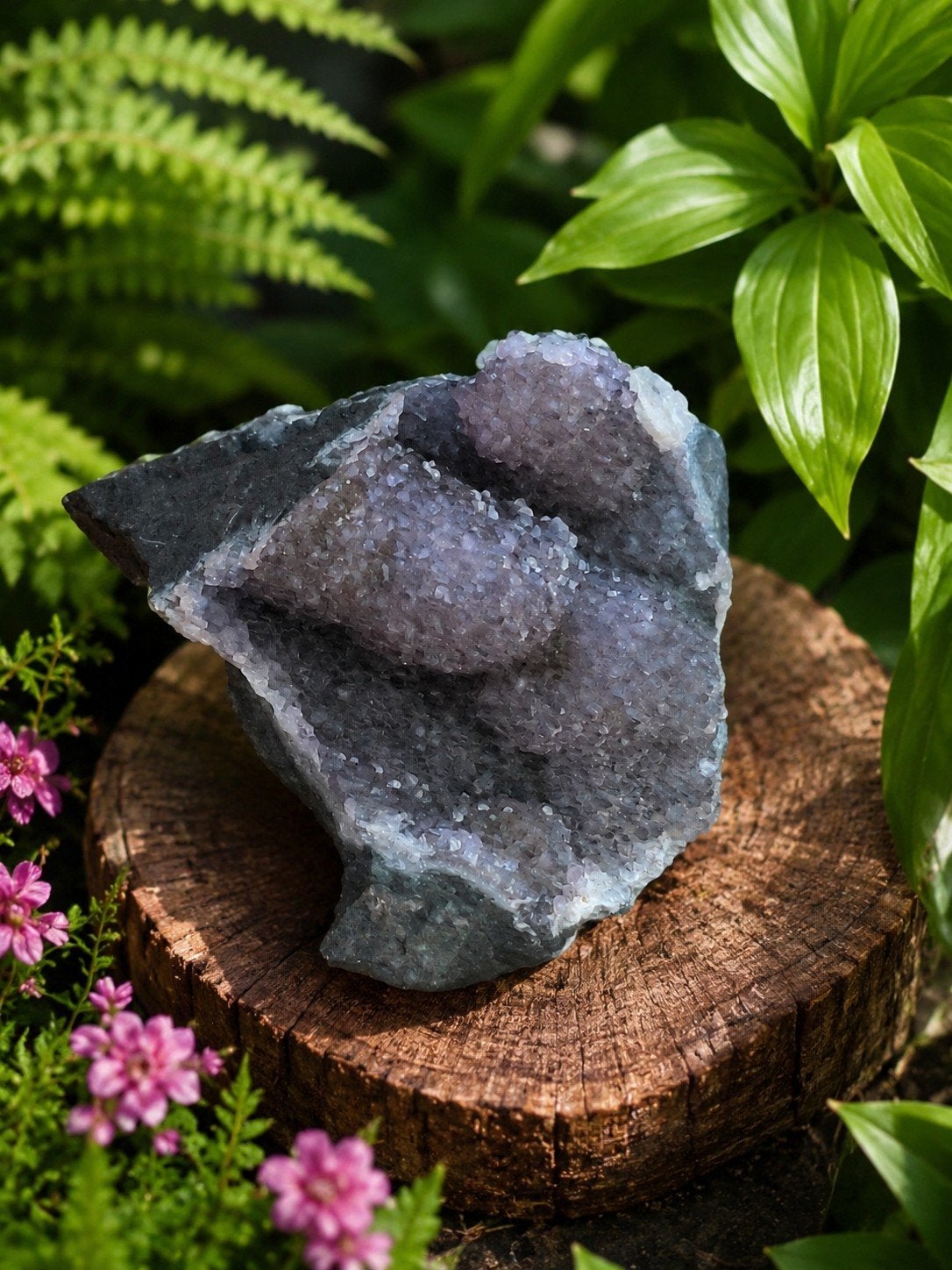 Prachtige Druzy Amethist Geode - Uniek Mineraal, Ophalen of Verzenden, Mineraal
