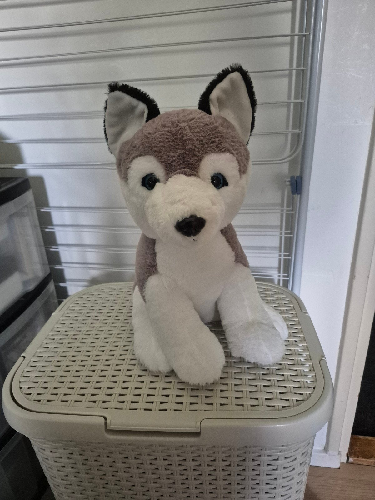 Sunkid husky knuffel, Ophalen of Verzenden, Zo goed als nieuw, Overige typen