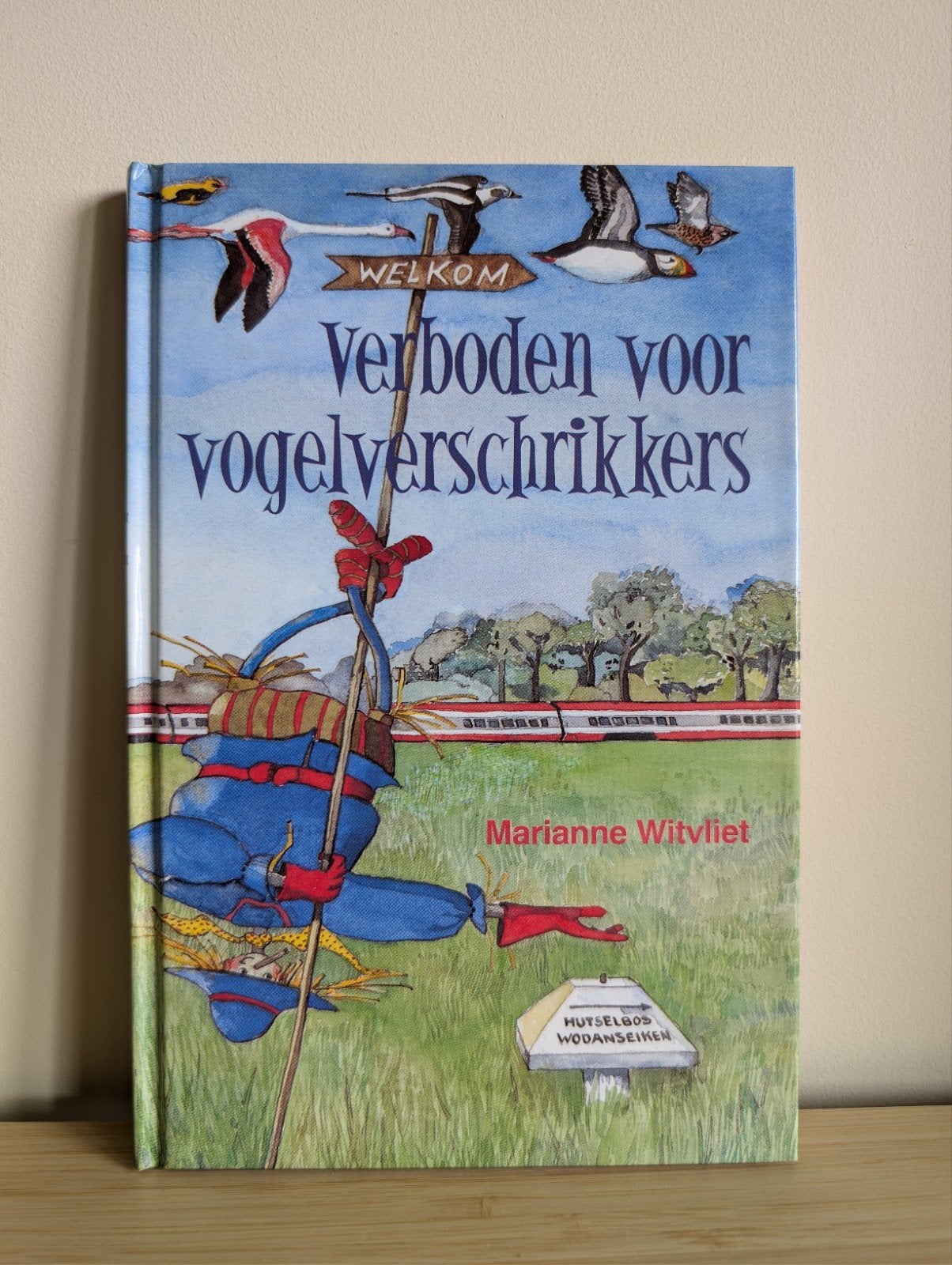 Verboden voor vogelverschrikkers - Marianne Witvliet, Boeken, Marianne Witvliet, Ophalen of Verzenden, Zo goed als nieuw, Fictie