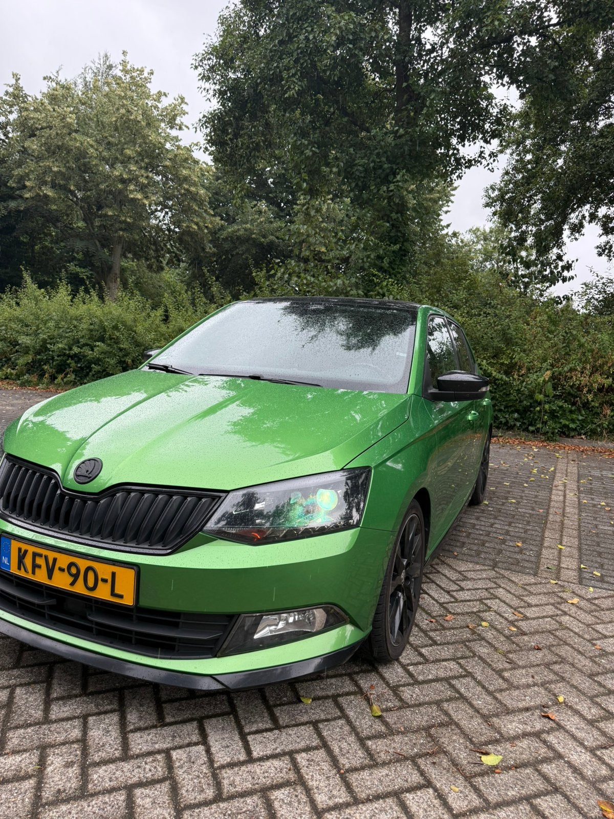 Skoda Fabia 1.2 TSI 66KW 2015 Groen, Stof, 4 cilinders, Handgeschakeld, Elektrische ramen