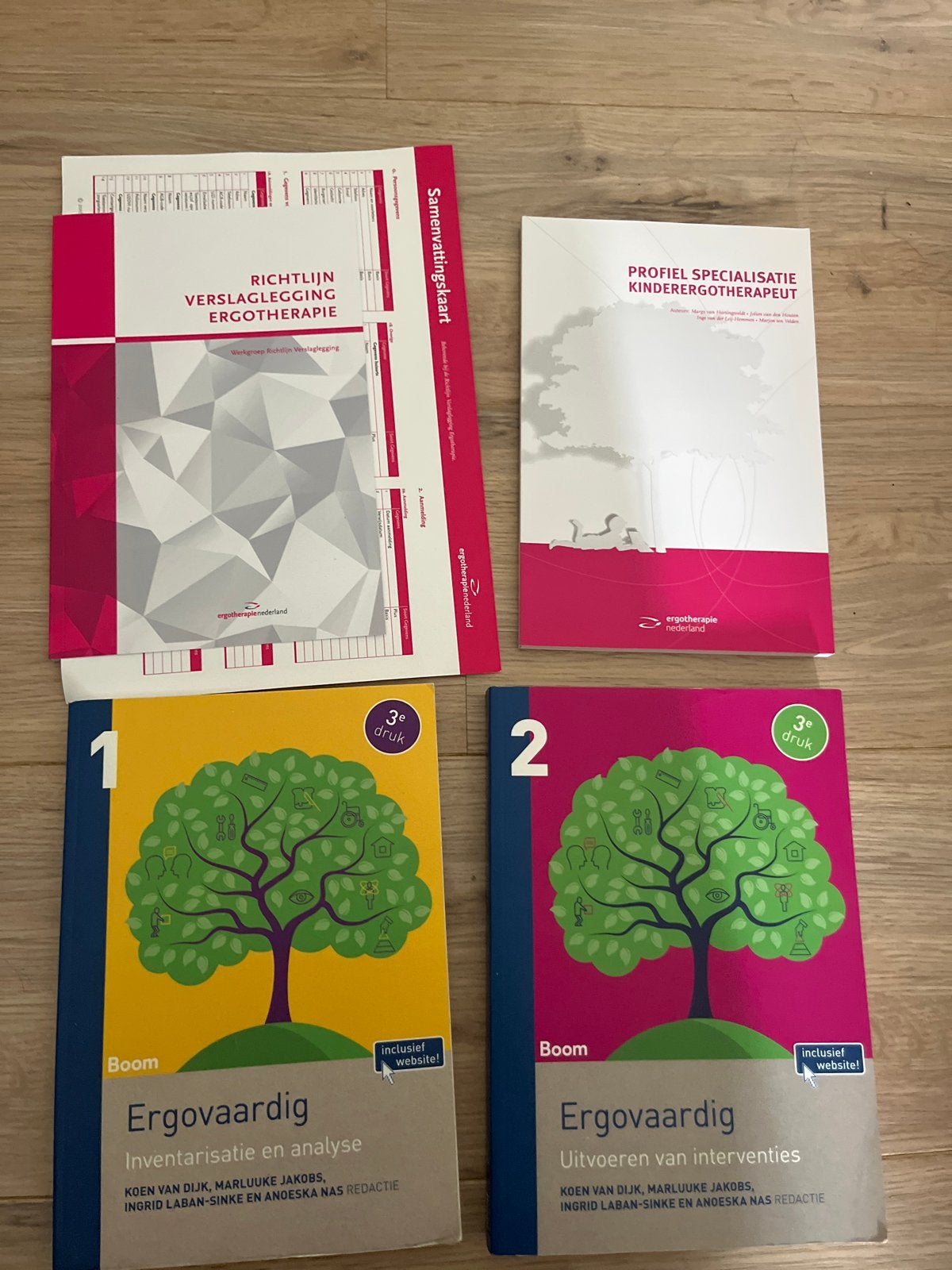 Ergotherapie schoolboeken 1e jaar: Ergovaardig & Richtlijnen, Boeken, Ophalen of Verzenden, Gelezen, Overige niveaus, Overige vakken
