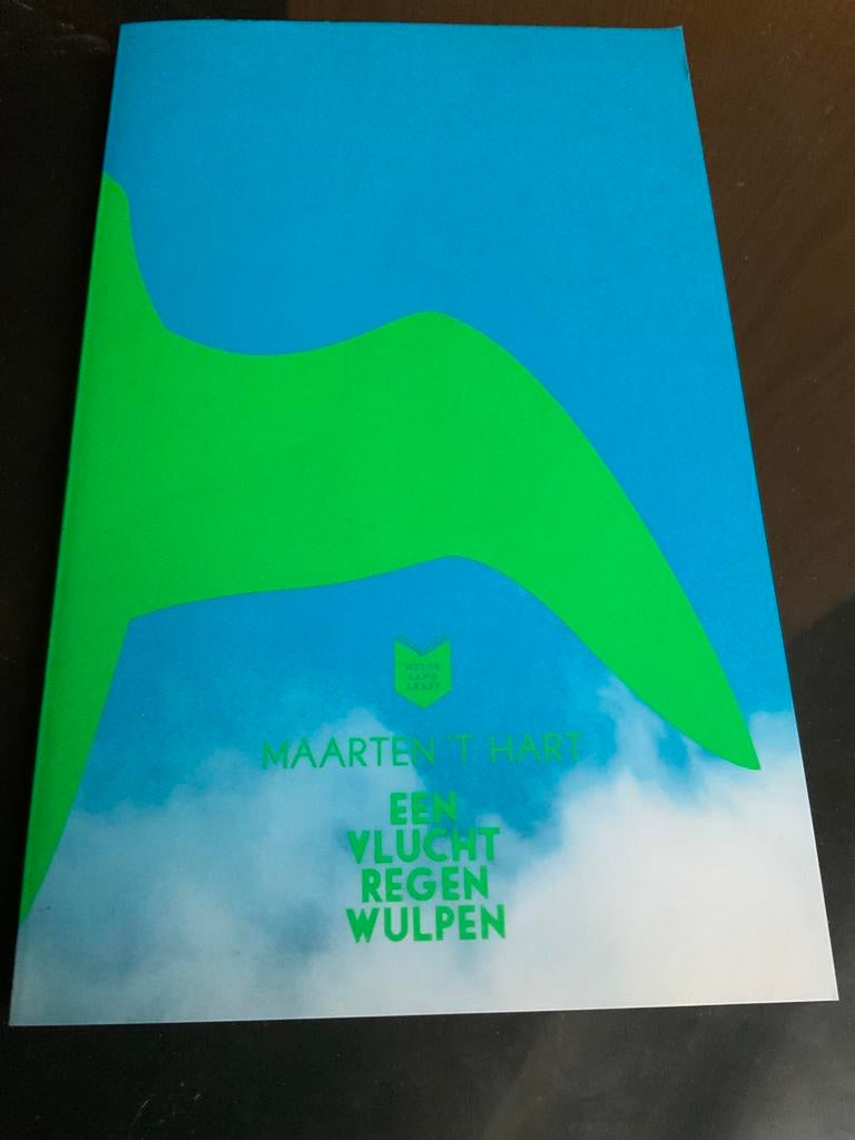 Boekje van Maarten t Hart. Vlucht Regenwulpen, Ophalen of Verzenden, Zo goed als nieuw, Nederland