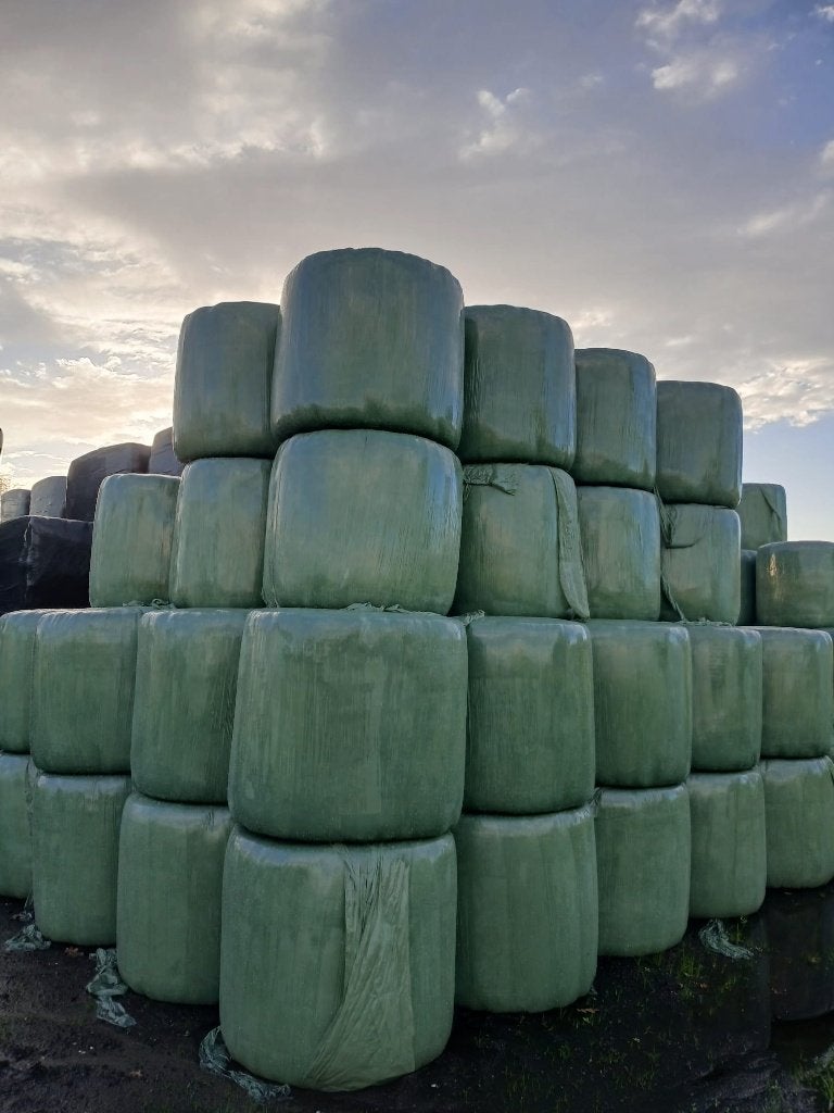 kleine rond balen +/ 100 kilo, Ophalen, Vee