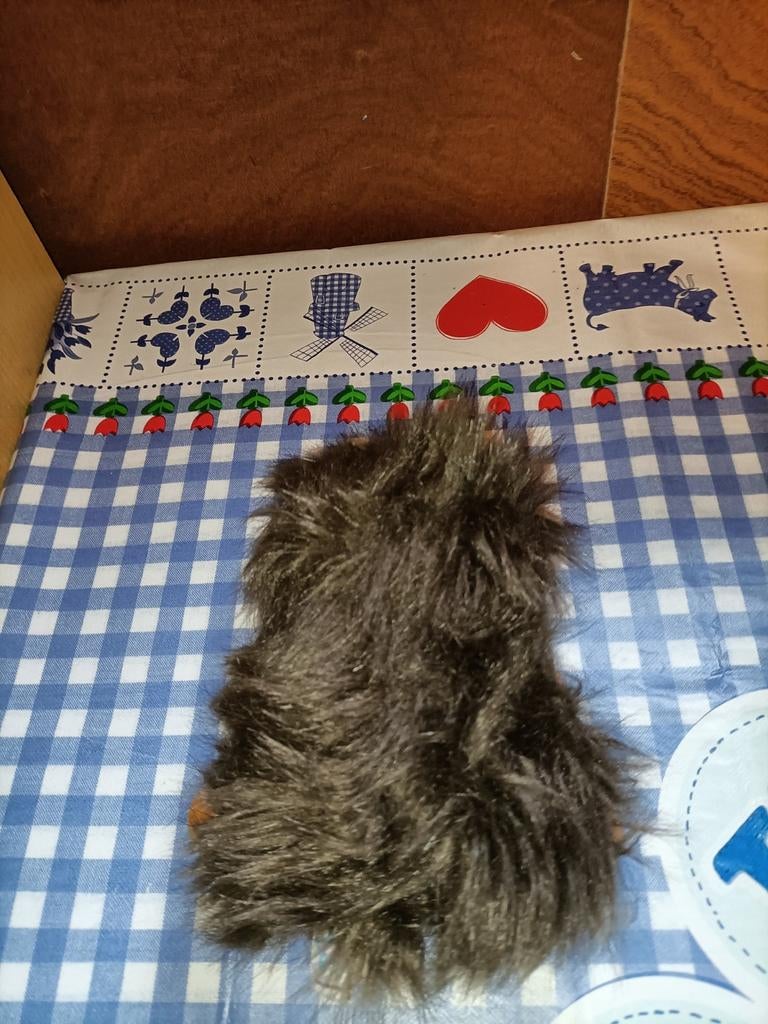 Leuke egel knuffel Lumo Stars Hedgehog Siili 15 cm groot, Ophalen of Verzenden, Zo goed als nieuw, Overige typen