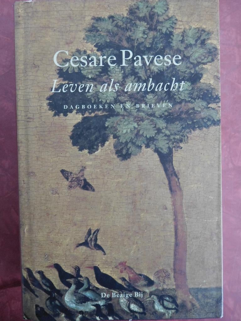 Cesare Pavese Leven als ambacht Dagboeken en brieven, Boeken, Ophalen of Verzenden, Zo goed als nieuw