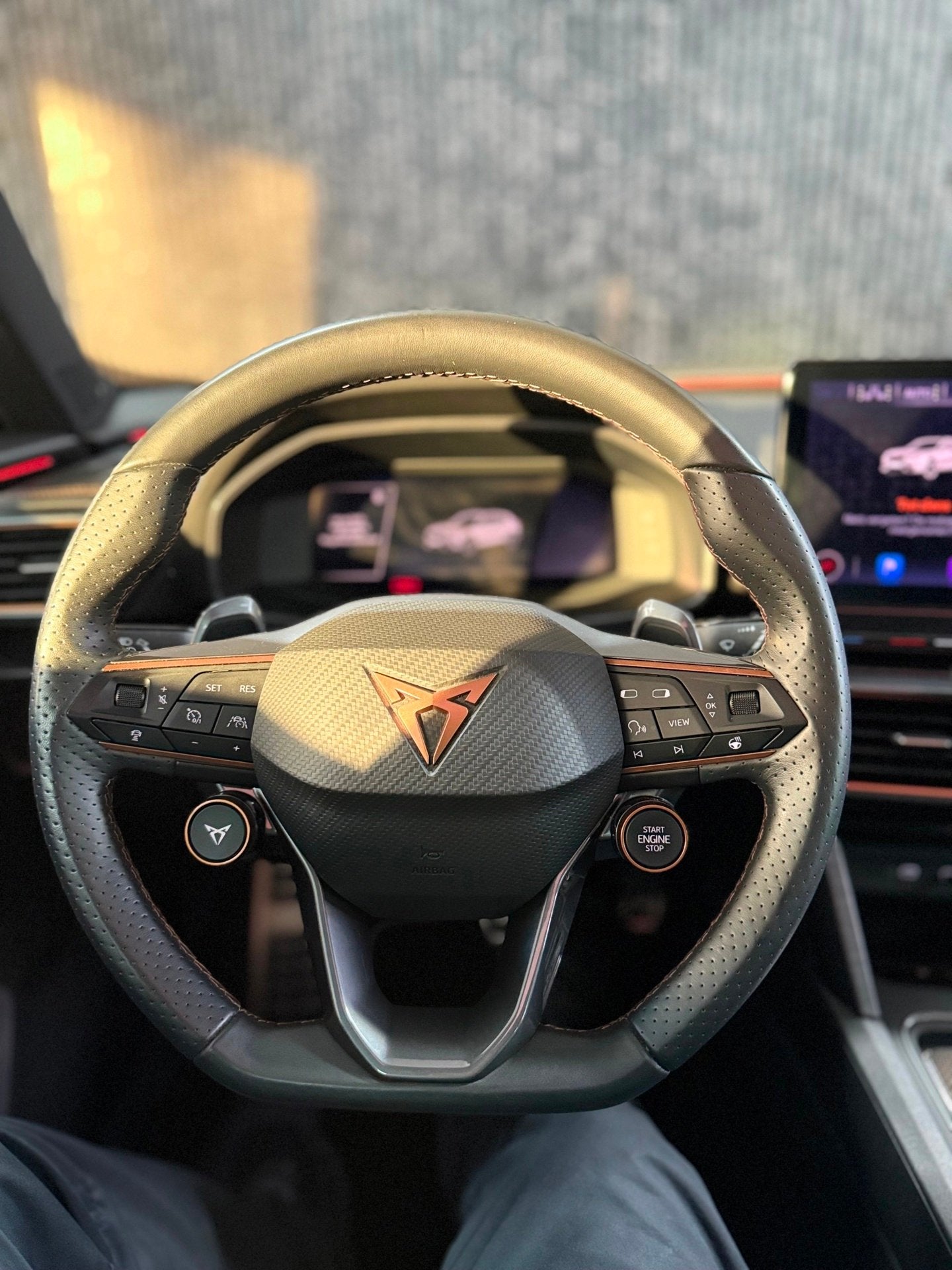 Cupra FORMENTOR 2.0 TSI 4DRIVE, Euro 6, 4 cilinders, Leder en Stof, Zwart