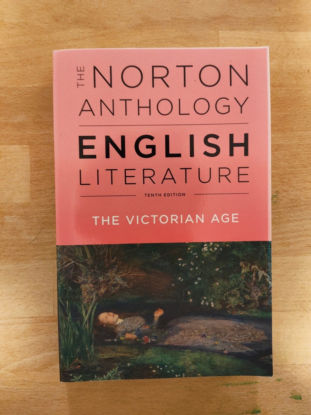 The Norton Anthology of English Literature: Victorian Age, Boeken, Ophalen, Zo goed als nieuw, Stephen Greenblatt, Amerika