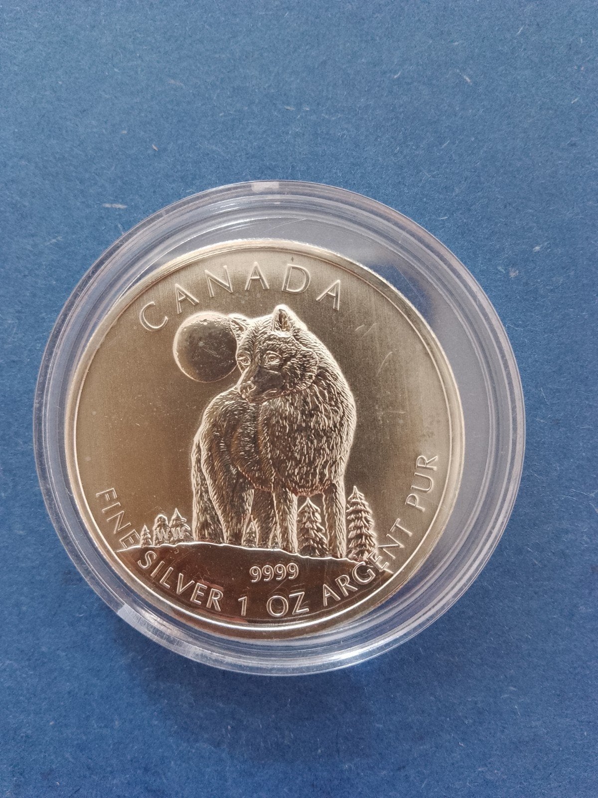 Wolf 2011 1 oz zilver, Ophalen of Verzenden, Noord-Amerika, Zilver