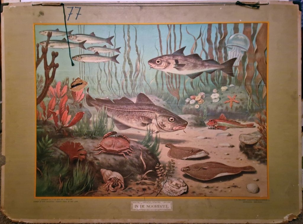 In de Noordzee / M.A. Koekkoek, Ophalen, Geschiedenis