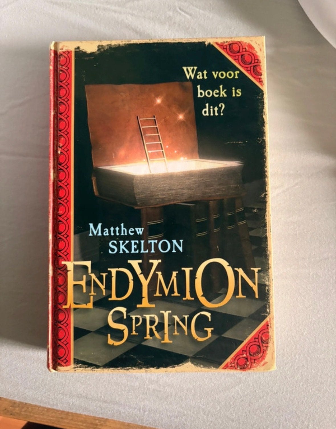 Endymion Spring - Matthew Skelton (Nederlands), Boeken, Ophalen of Verzenden, Gelezen, Fictie