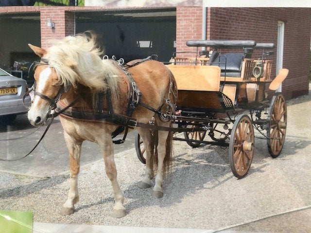 koets, recreatiekoets,, Zo goed als nieuw, Wagonette, Paard