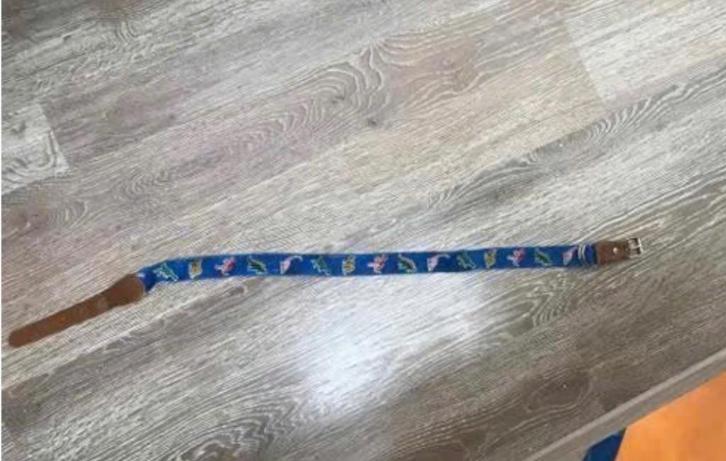 riem met dinosauriërs Voor jongen, Kinderen en Baby's, Kindermode-accessoires, Ophalen, Gebruikt