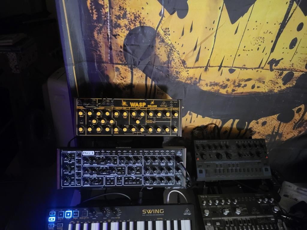Behringer Pro-1 en Wasp Deluxe, Muziek en Instrumenten, Synthesizers, Ophalen of Verzenden