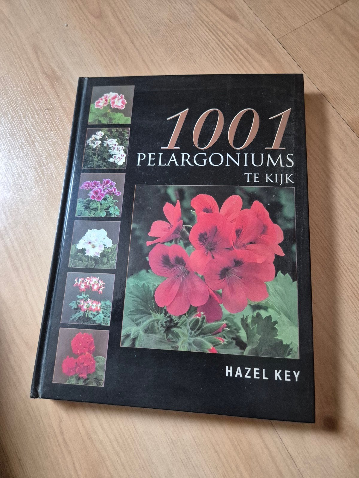 1001 Pelargoniums Te Kijken - Hazel Key, Ophalen of Verzenden, Gelezen, Hazel Key, Tuinieren en Tuinplanten