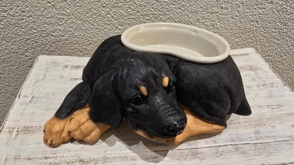 Rottweilerpup met voerbakje, Dieren en Toebehoren, Ophalen of Verzenden, Zo goed als nieuw