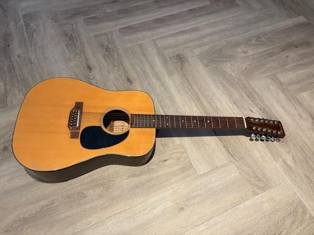 12 string guitar, Ophalen, Gebruikt, Western- of Steelstringgitaar, 12-snarig