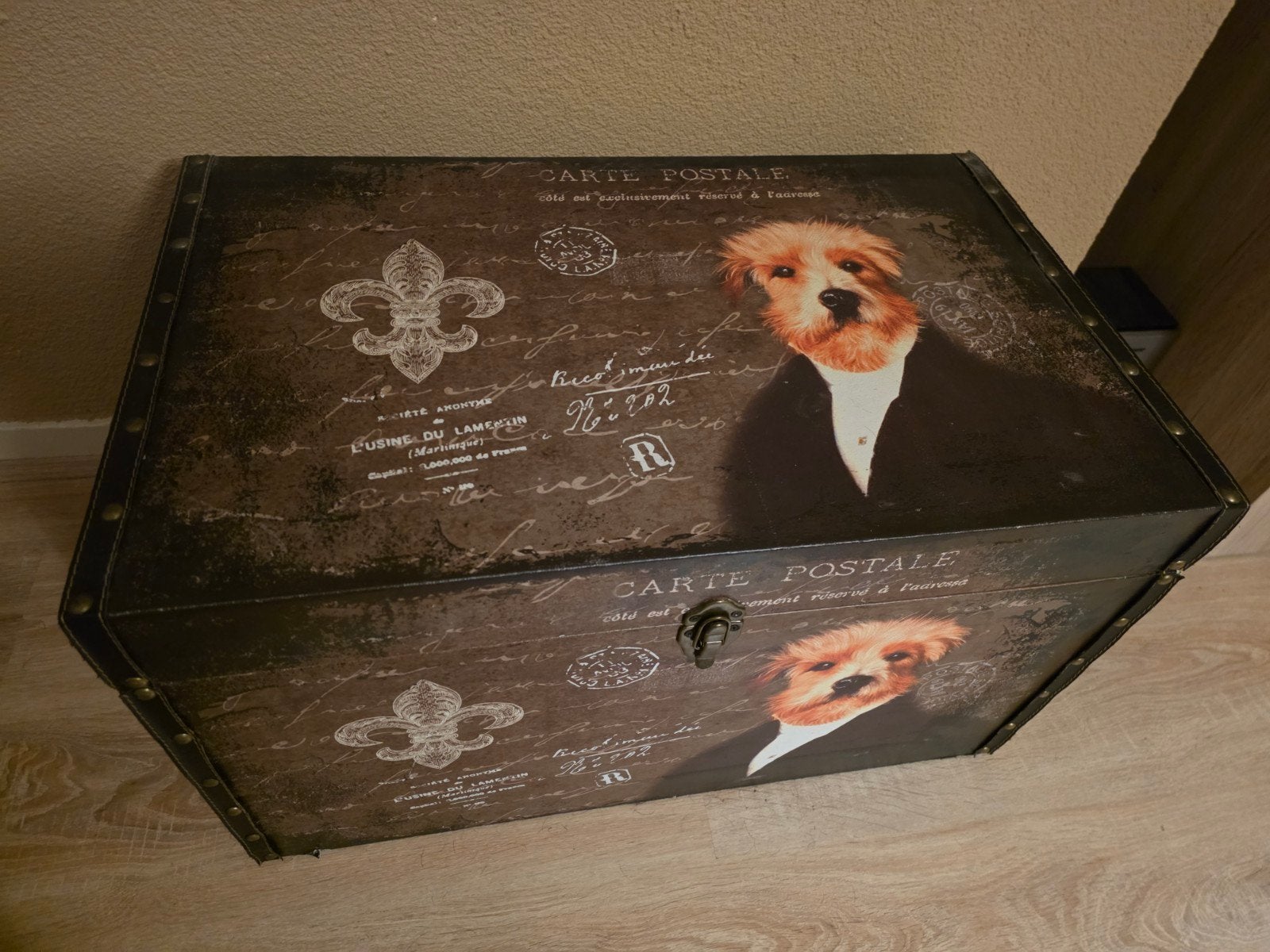 OPBERGKIST MET AFBEELDING HOND, Ophalen, 50 tot 100 cm, Minder dan 50 cm