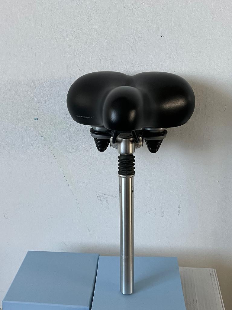 Complete Selle Royal zadel Z.G.A.N., Ophalen of Verzenden, Zo goed als nieuw, Zadel, Selle Royal