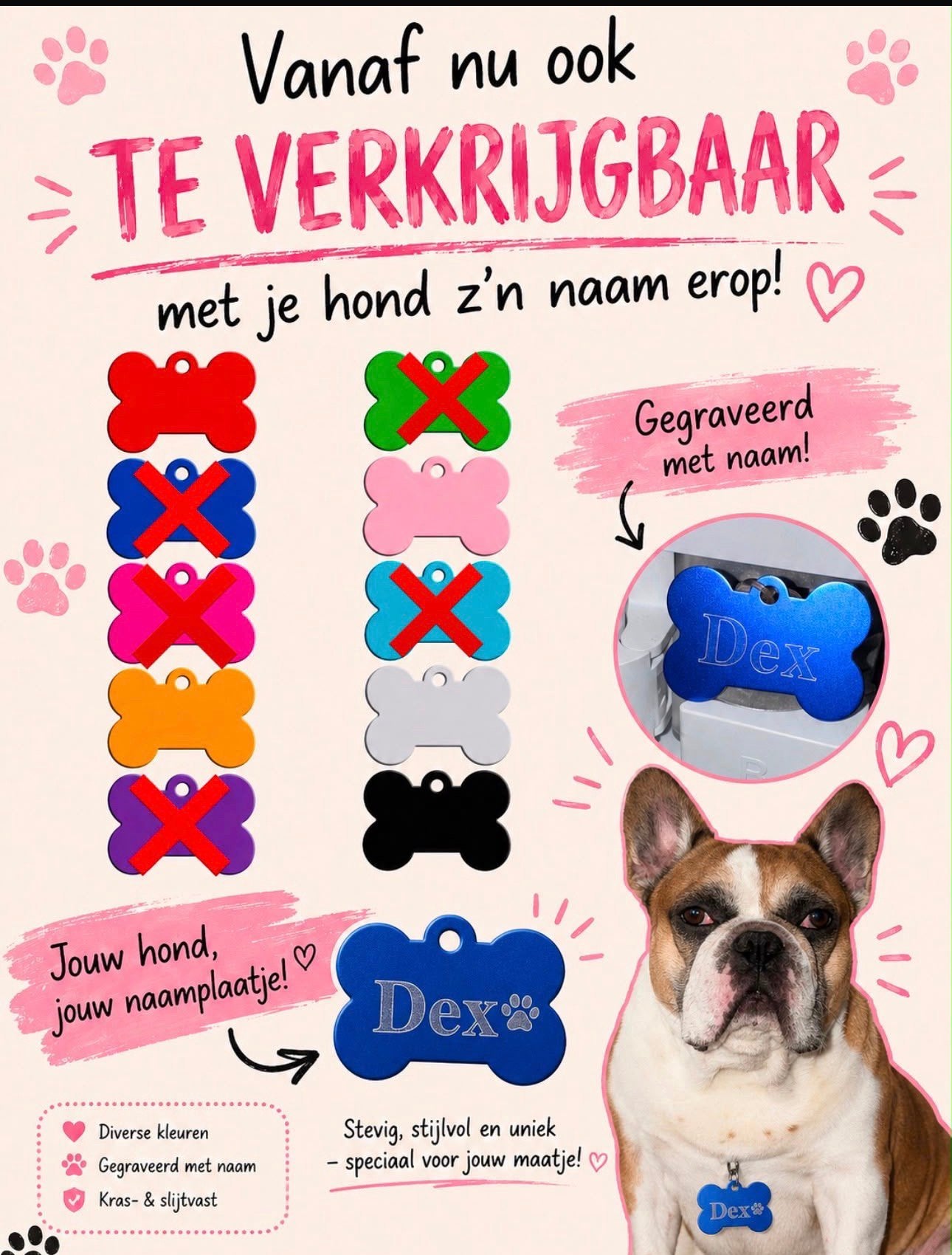Honden naamplaatjes, Dieren en Toebehoren, Ophalen of Verzenden, Nieuw, Overig speelgoed, Lief