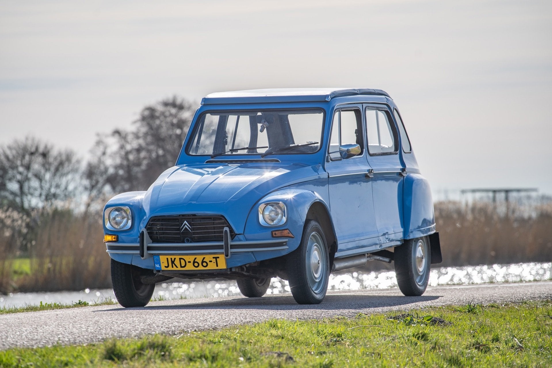 Citroen Dyane 6 Confort, Auto's, Voorwielaandrijving, Overige modellen, Blauw, 621 kg