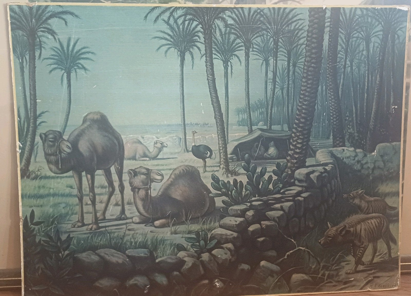 Vintage Schoolplaten: Natuur en Biologie Collectie, Antiek en Kunst, Antiek | Schoolplaten, Ophalen, Natuur en Biologie