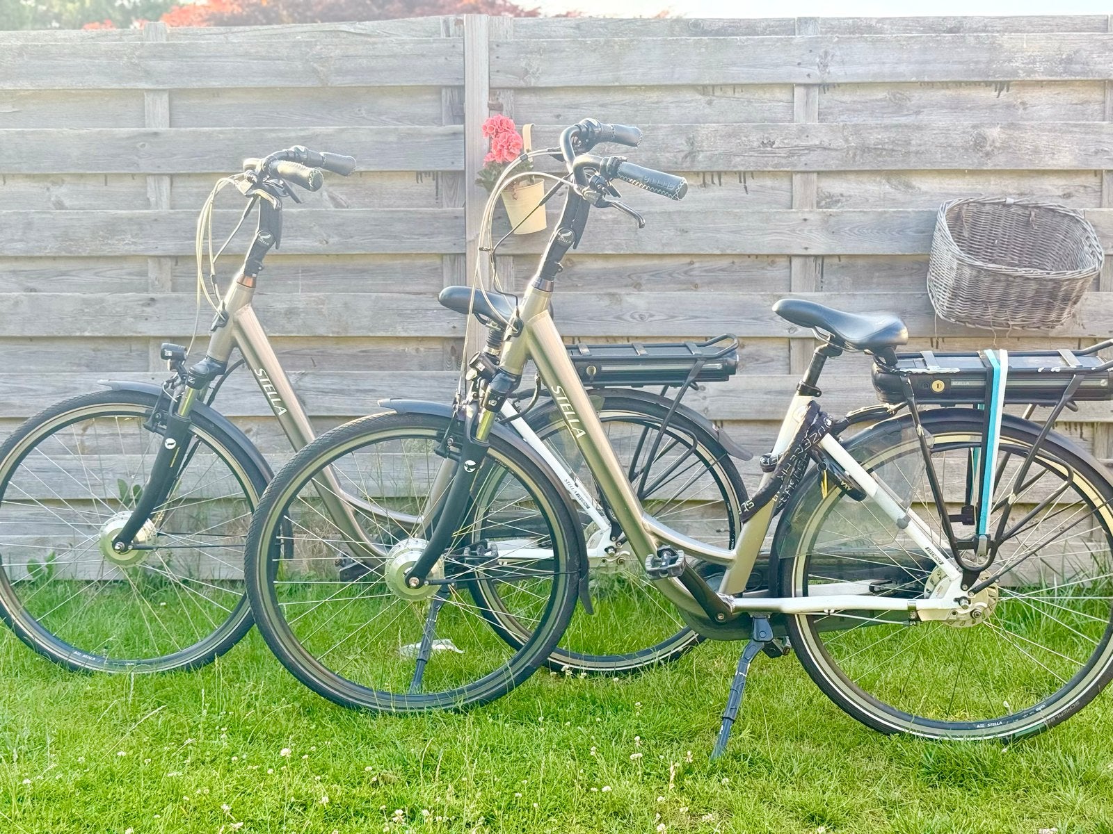 Stella elektrische damesfiets - Zo goed als nieuw, Fietsen en Brommers, Overige merken, S, Ophalen of Verzenden, Zo goed als nieuw