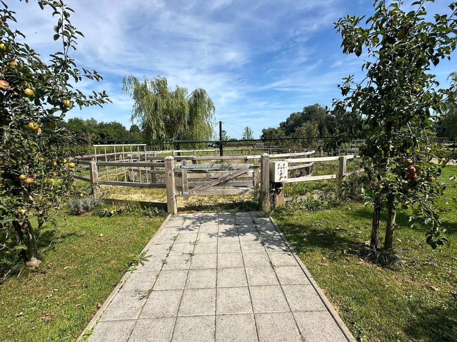 Stapmolen voor minipaarden (12 meter), Dieren en Toebehoren, Ophalen, Gebruikt