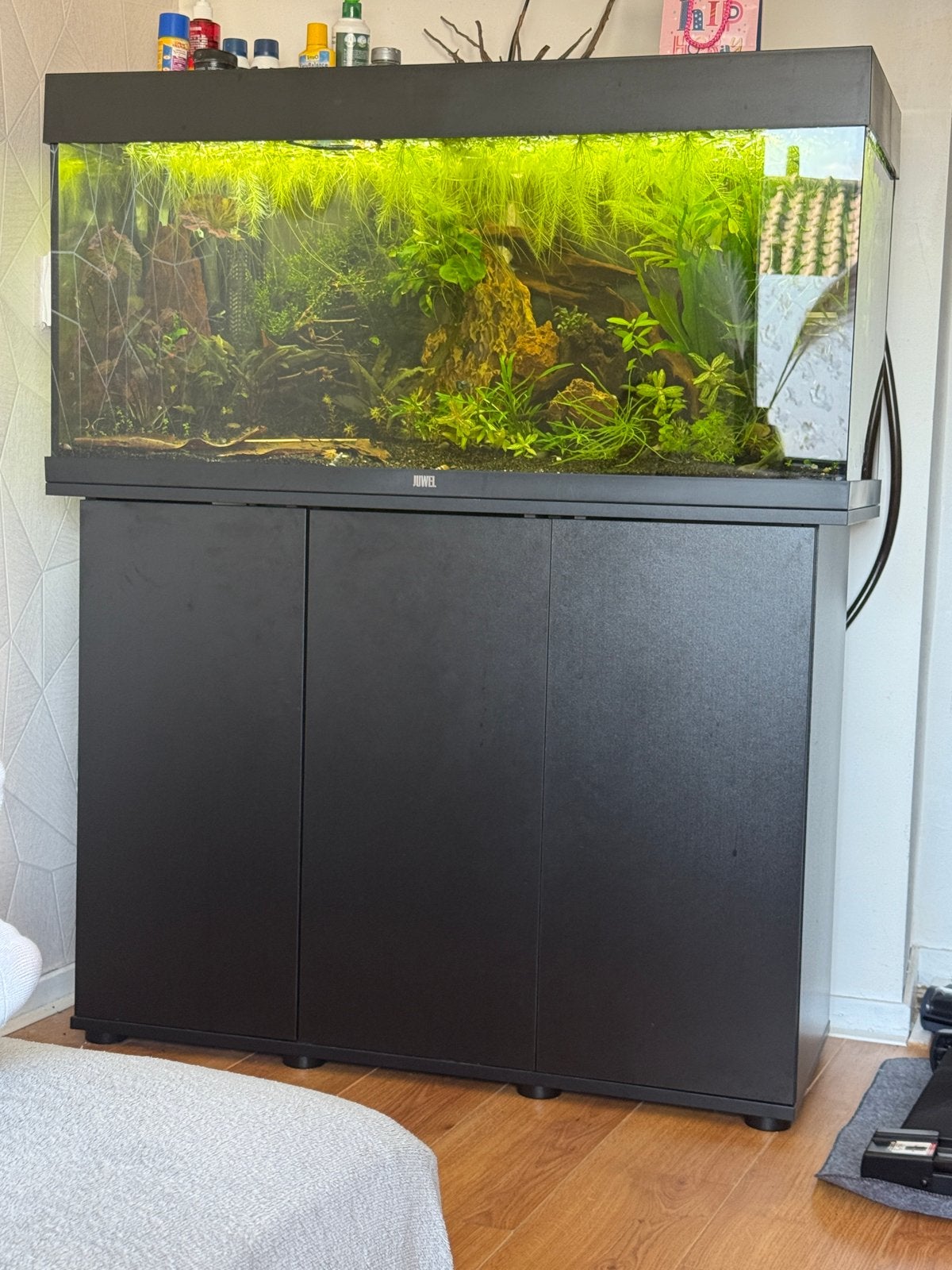 Juwel Rio 180 aquarium + 700 filter + 2 CO2 (0,5 liter), Dieren en Toebehoren, Vissen | Aquaria en Toebehoren, Ophalen of Verzenden