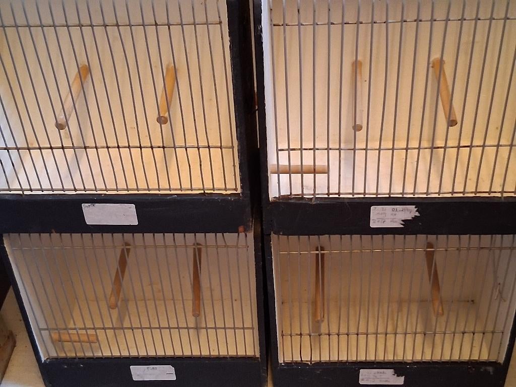 reiskooi transportkooi showkooitjes vogel vogels, Ophalen of Verzenden, Gebruikt, Hout, Vogelkooi