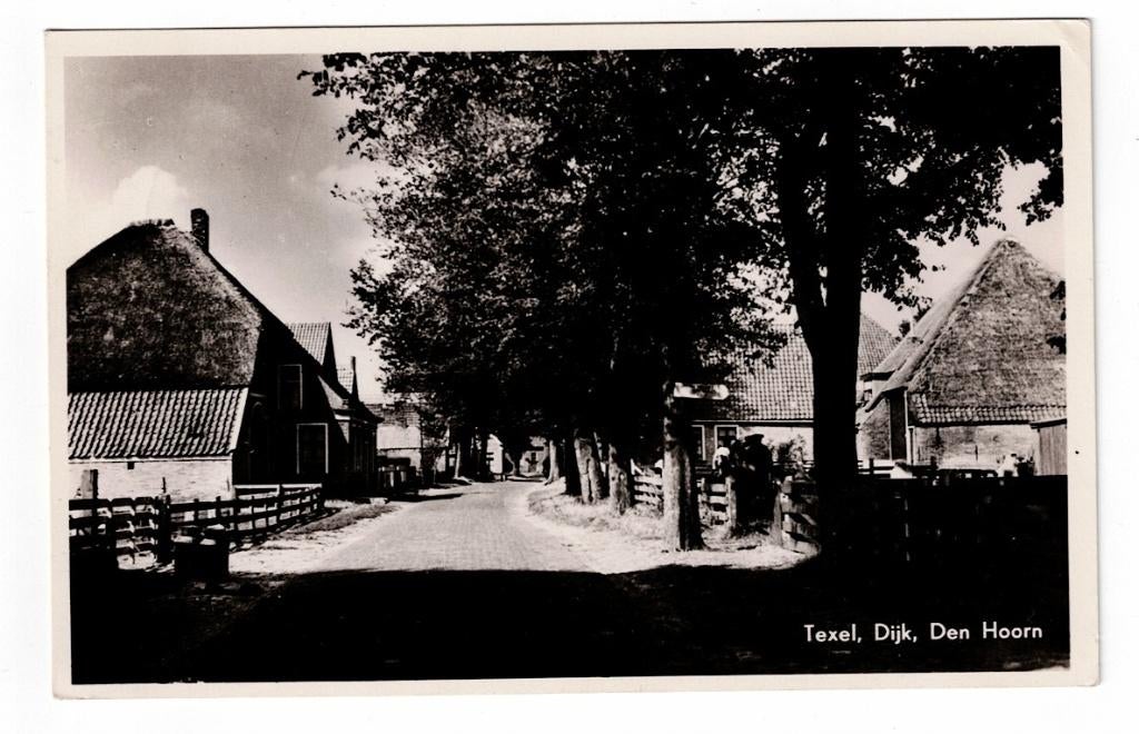 Den Hoorn op Texel 1954. De Dijk., Ophalen of Verzenden, 1940 tot 1960, Gelopen, Waddeneilanden