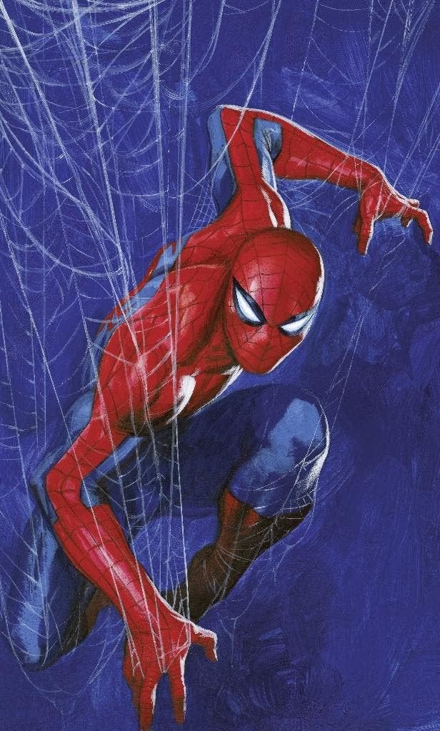 Spiderman Vlies Behang Web - 150x250 cm - Gratis Verzending, Nieuw, Ophalen of Verzenden, Nvt, Nvt